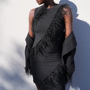 Black Sleeveless diagonal feather mini dress